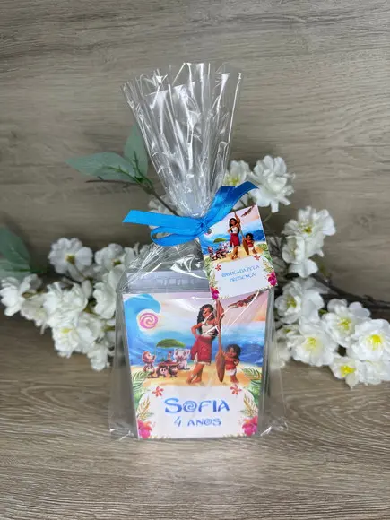 Estojo de Pintura 20 Peças Moana 2