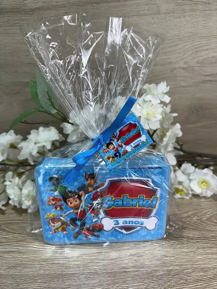 Estojo de Pintura 20 Peças Patrulha Canina