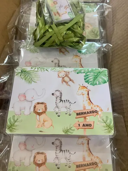 Estojo de Pintura 20 Peças Safari