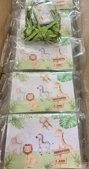 Estojo de Pintura 20 Peças Safari