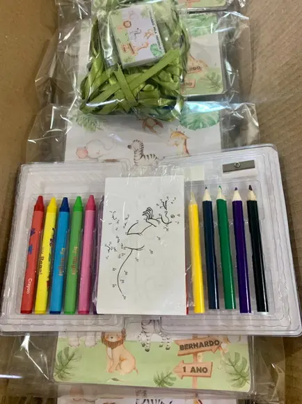 Estojo de Pintura 20 Peças Safari
