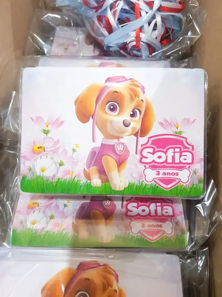 Estojo de Pintura 20 Peças Skye