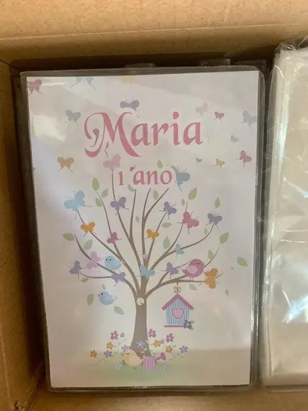 Estojo de Pintura 30 Peç Jardim das Borboletas