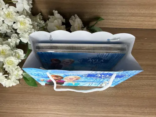 Estojo de Pintura 30 Peças + Sacola Personalizada Frozen