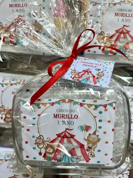 Kit Colorir na Maleta Acrilica Circo