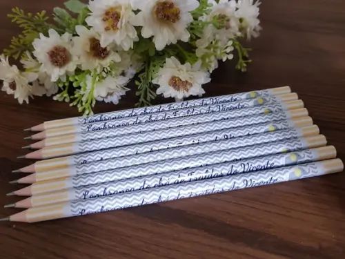 Lápis Personalizado Elefante Chevron