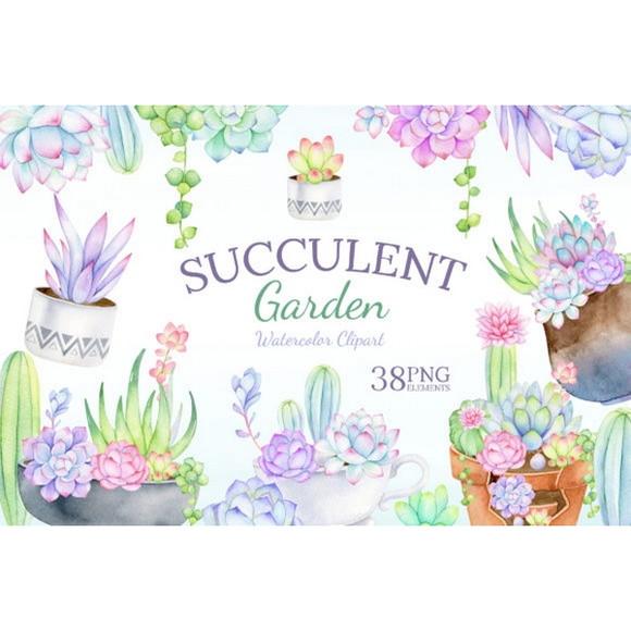 Clipart - Suculentas 1