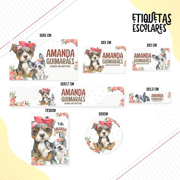 Leve + 13 Arquivo de Corte - Etiqueta Escolar (pet Girl) a