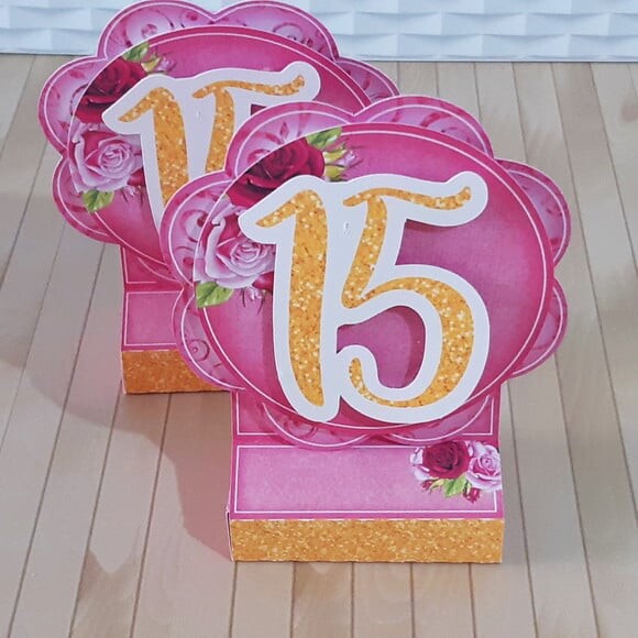 Leve + 13 Arquivo de Corte - 15 Anos 6