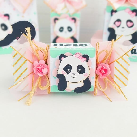 Leve + 13 Arquivo de Corte - Panda Menina 1