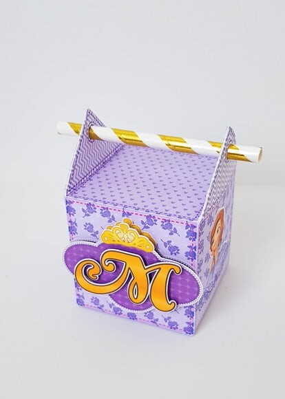 Leve + 13 Arquivo de Corte - Princesinha Sofia 9