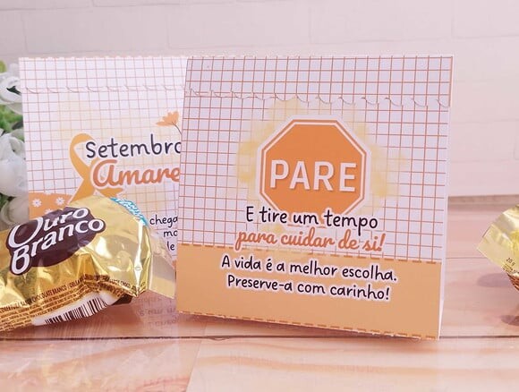 Leve + 13 - Arquivo Digital - Setembro Amarelo 2