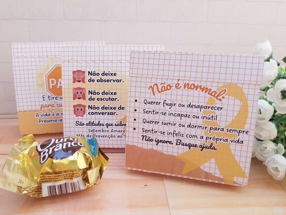 Leve + 13 - Arquivo Digital - Setembro Amarelo 2