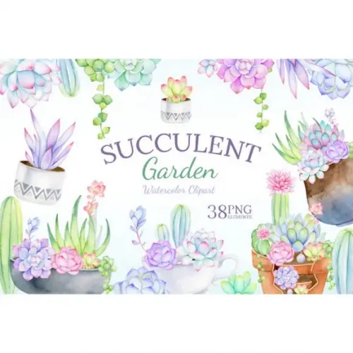 Clipart - Suculentas 1