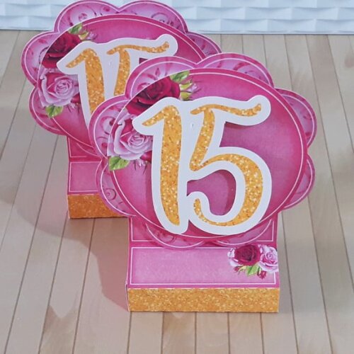 Leve + 13 Arquivo de Corte - 15 Anos 6