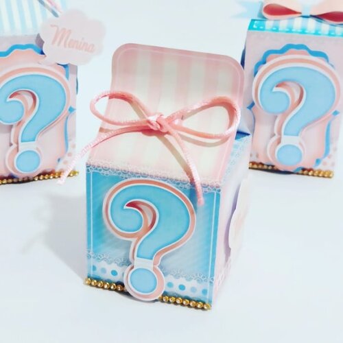 Leve + 13 Arquivo De Corte - Chá Revelação 9