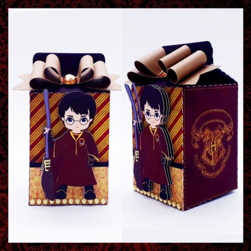 Leve + 13 Arquivo De Corte - Harry Potter 12