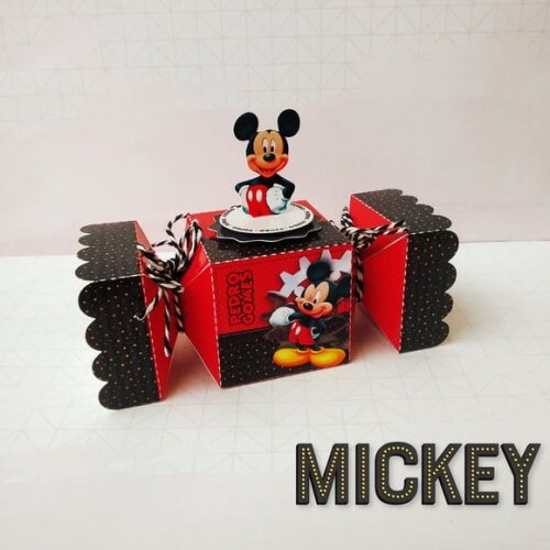 Leve + 13 Arquivo De Corte - Mickey 23