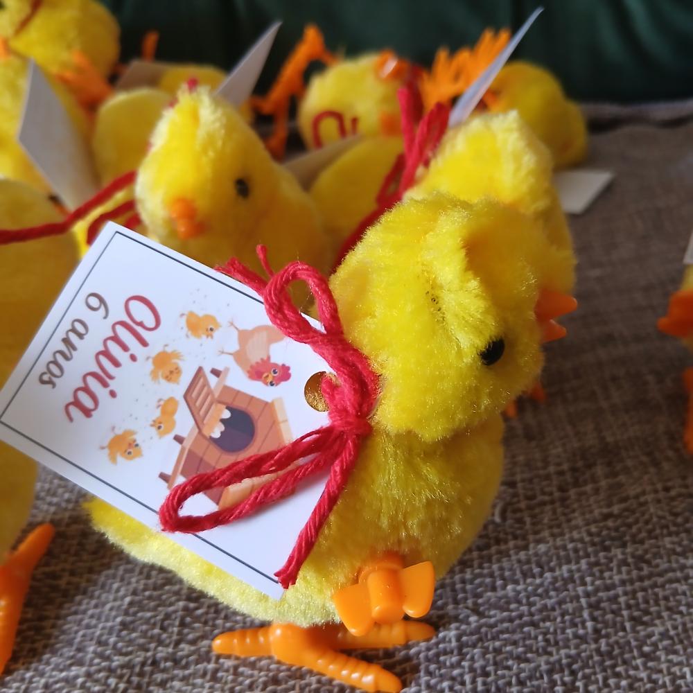 Pintinho a corda para lembrancinha