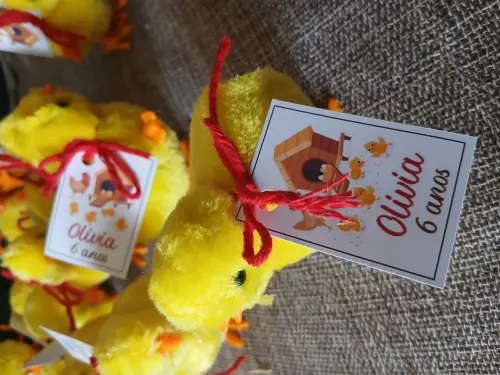 Pintinho a corda para lembrancinha