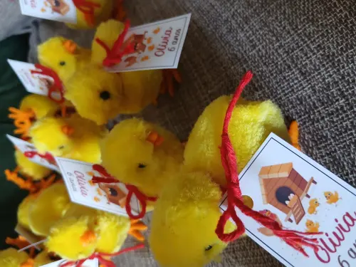 Pintinho a corda para lembrancinha