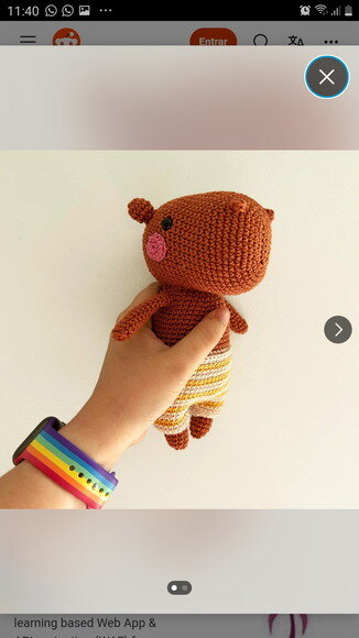 Capivara Amigurumi