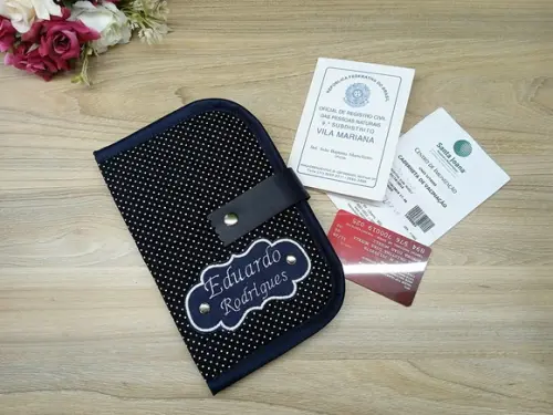 Porta Documentos do Bebe
