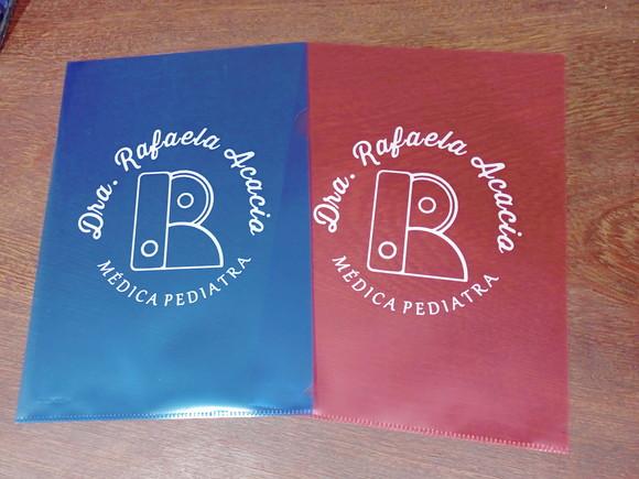 Pasta l A4 Personalizada com Sua Logo Cores Padrão (70)