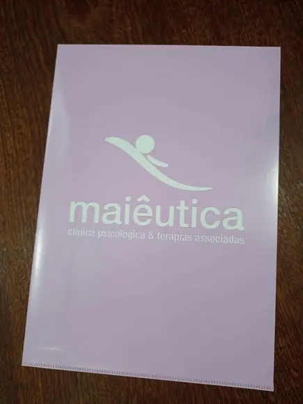 Pasta l A4 Personalizada com Sua Logo Cores Padrão (50)