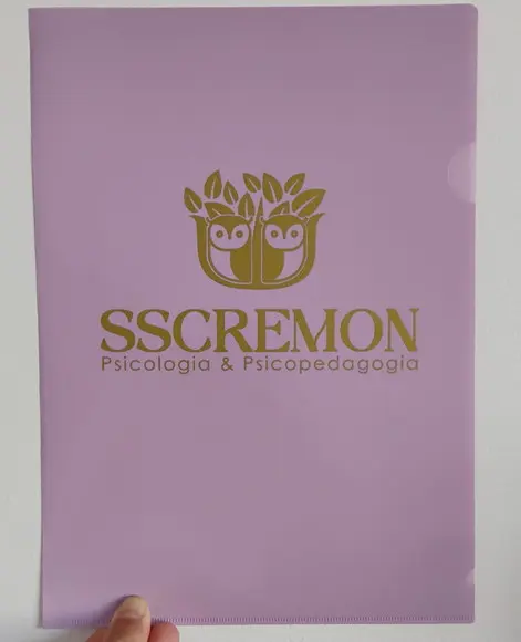 Pasta l A4 Lilás Personalizada com Seu Logo Dourado (30)
