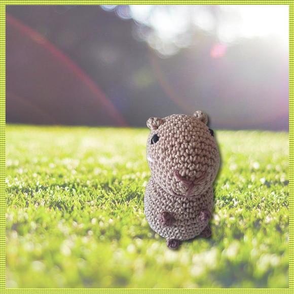 Amigurumi Capivara Mini