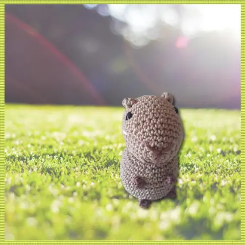 Amigurumi Capivara Mini
