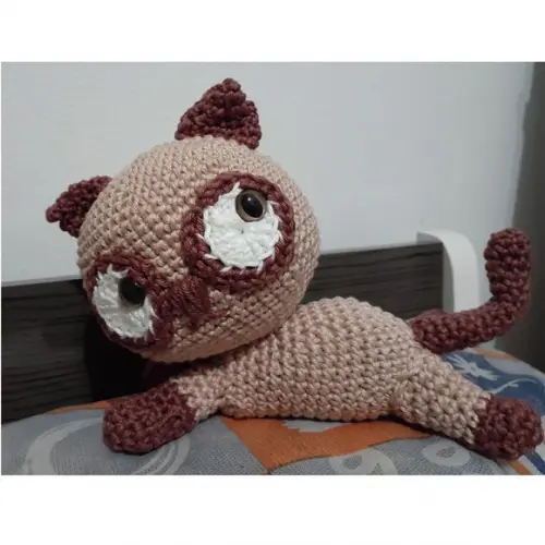 Gatinho Alfafa
