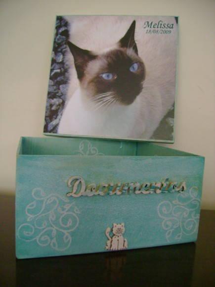Caixa de Documentos Pet