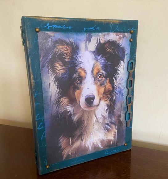 Caixa Livro Decorativa Pet