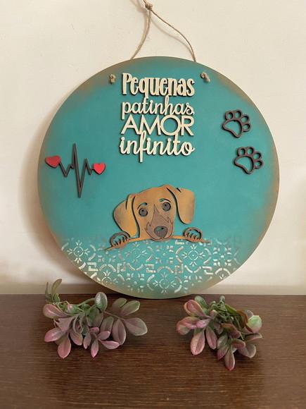 Placas Pet Cachorros