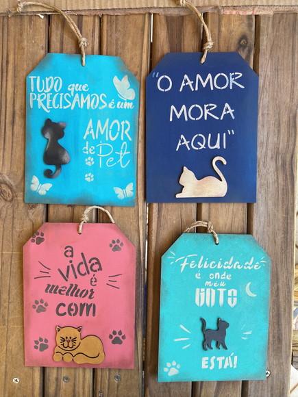 Placas Gatos