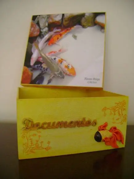 Caixa de Documentos Pet