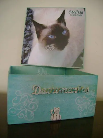 Caixa de Documentos Pet