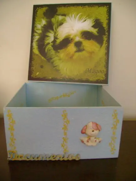 Caixa de Documentos Pet