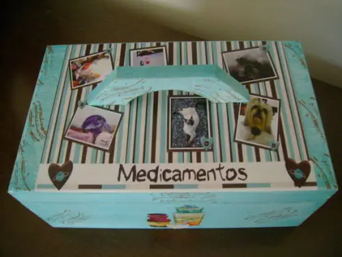 Caixa de Remédios Pet