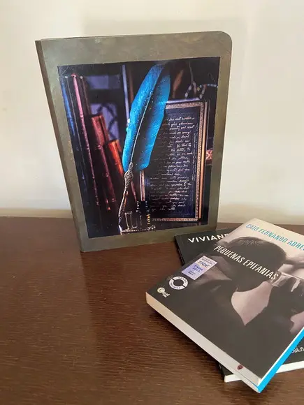Caixa Livro Masculina