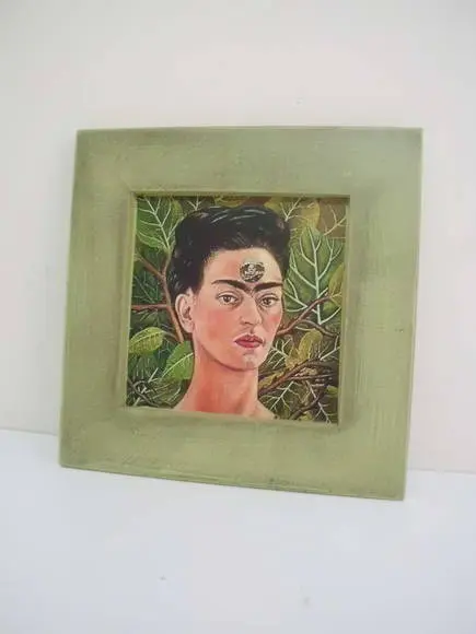 Dupla Quadrinhos Frida Kahlo