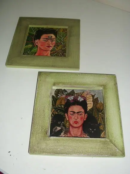 Dupla Quadrinhos Frida Kahlo