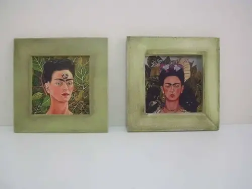 Dupla Quadrinhos Frida Kahlo