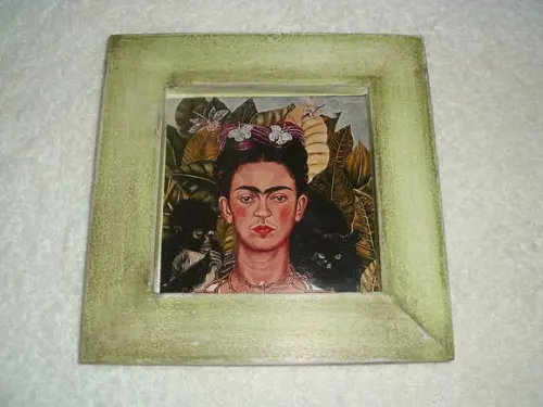 Dupla Quadrinhos Frida Kahlo