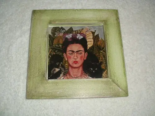 Dupla Quadrinhos Frida Kahlo