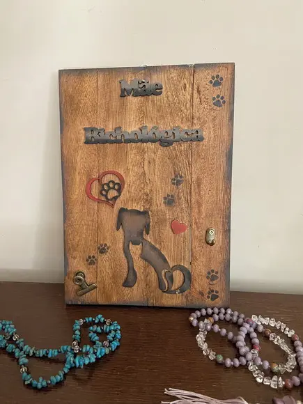 Placa Organizadora Mãe Bichologica
