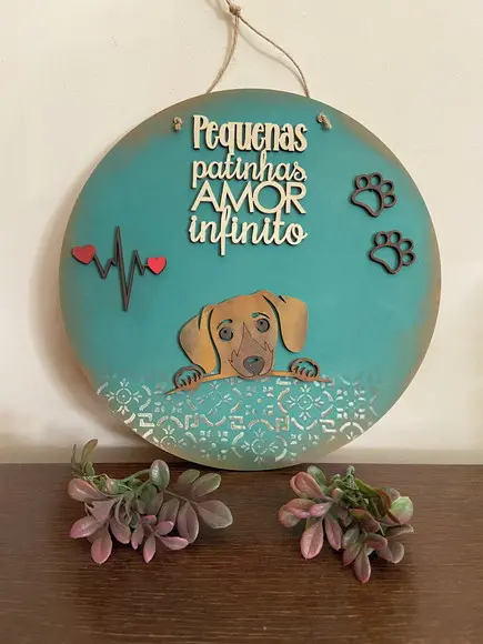 Placas Pet Cachorros