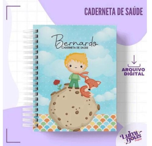 Caderneta de Saude / Vacinação MENINO